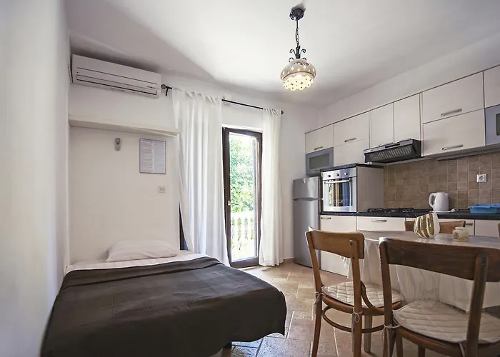 Welcome 돈제페트레케인