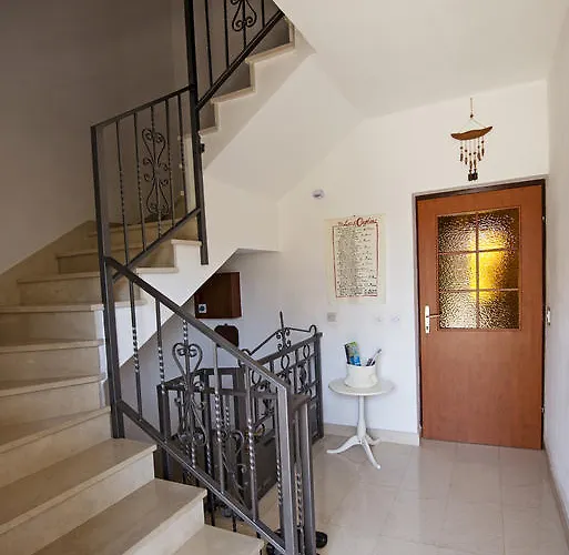 Welcome 돈제페트레케인